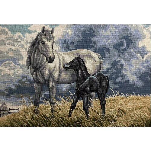 DMC Horses Tapestry Design Printed On 10 Count Antique Canvas 50x70cm - ART. 10.553