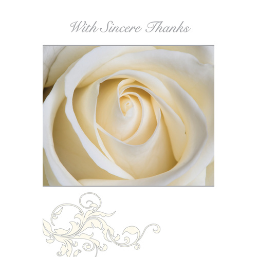Ozcorp Sympathy Thank You Card Set 95 X 140mm Cream Rose -10 Cards & Envelopes - TY06