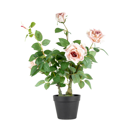 Artificial Potted Lagerfield Rose Plant - 50 x 65 cm
