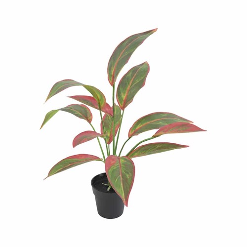 Potted Artificial Plant Ruby Ficus - 35 x 44cm