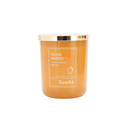 Wick2Ware Soy Candle Jar 450g - Guava Mango