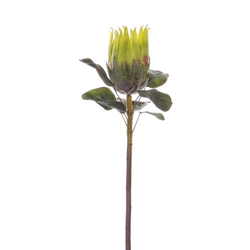 Native Queen Protea Artificial Flower 62cm - Green