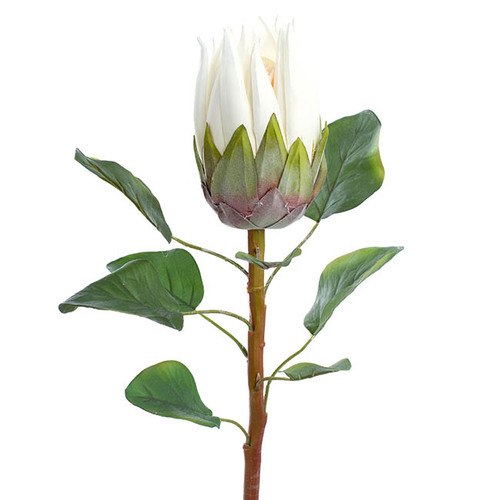 Native Protea Artificial Flower 68cm - White
